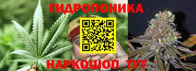хмурый Нарткала