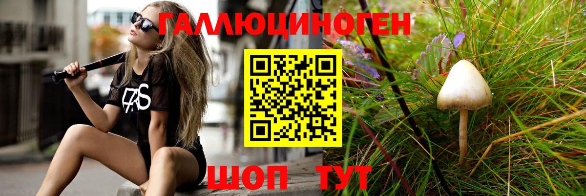 Галлюциногенные грибы GOLDEN TEACHER Чернушка