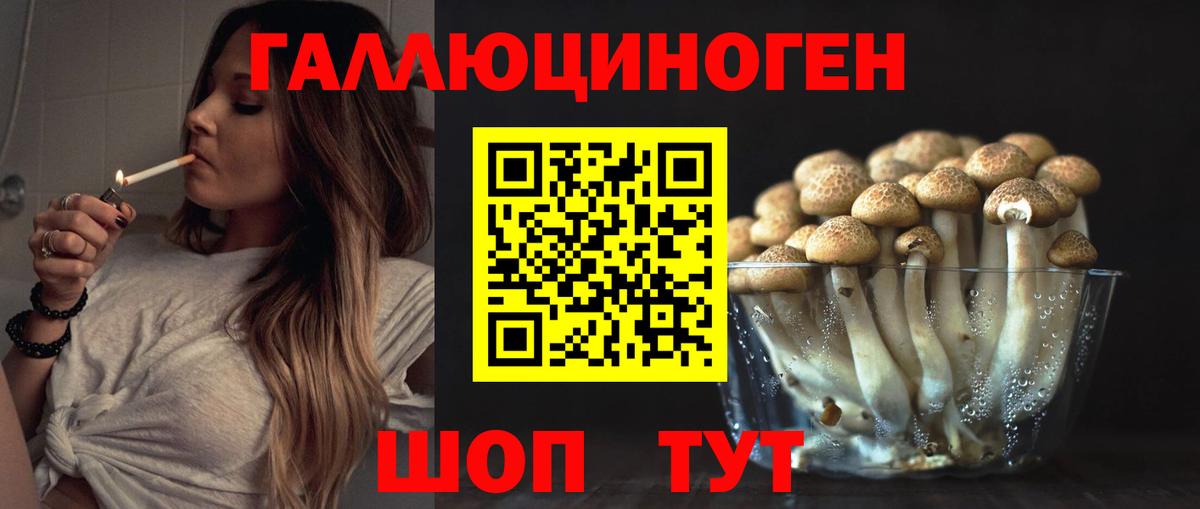 Чернушка  дарнет шоп  Вход с VPN  Галлюциногенные грибы Psilocybine cubensis 